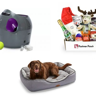 Dog Xmas Bundle 🐶