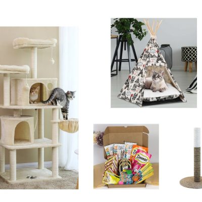 Cat Xmas Bundle 🐱