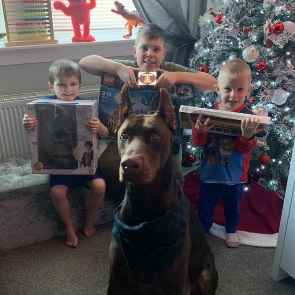 Won the Harry Potter Bundle