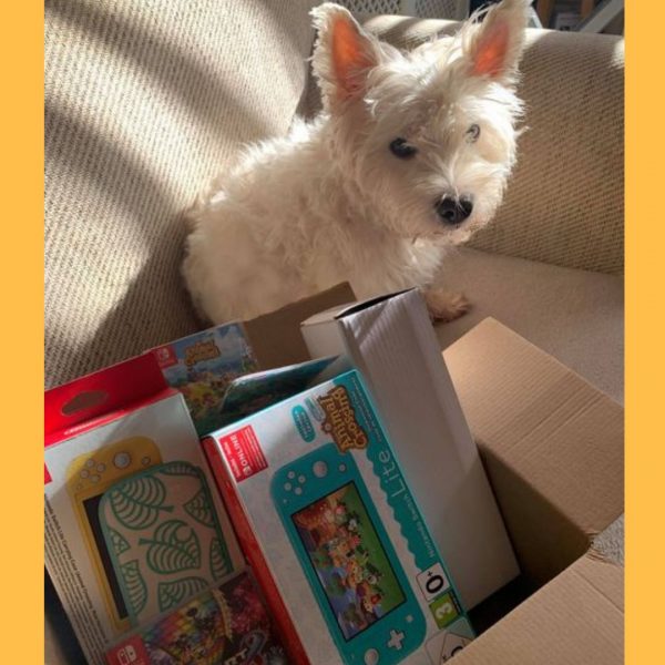 Won a Nintendo Switch Lite Bundle