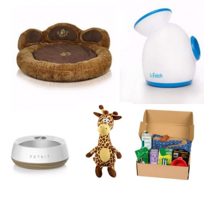 Here DoggyDoggy (DRAWN 20.03.21)