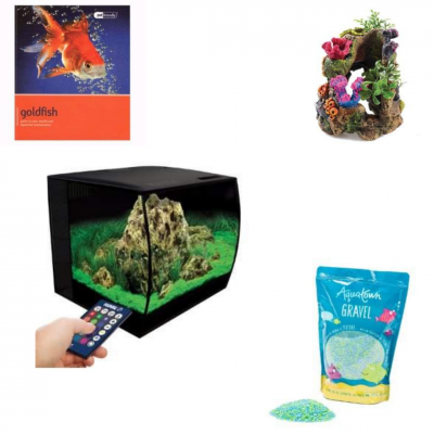 Wee Fishy (DRAWN 20.03.21)