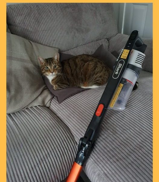 Won a Shark Hoover!!