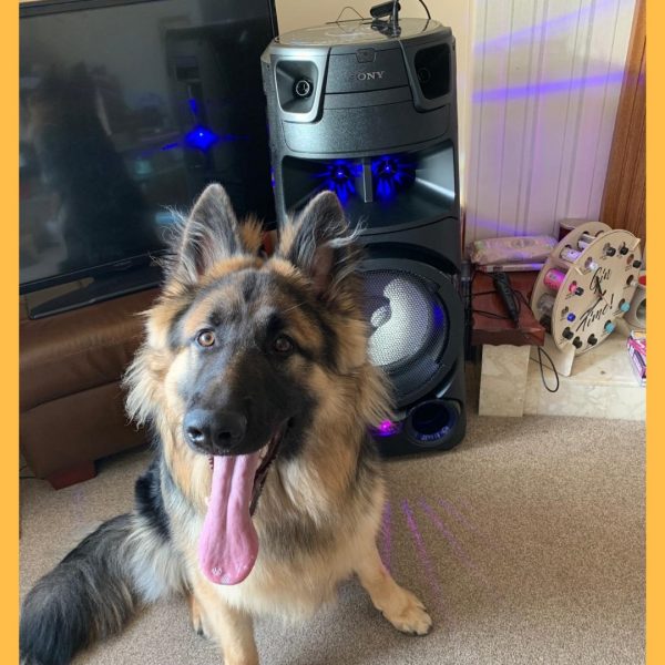 Won the Sony MHC-V73D High Power Bluetooth® Party Speaker!