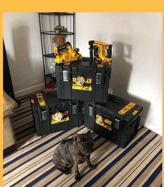 Won the Dewalt Tool Bundle
