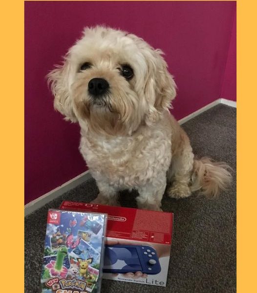 Won the Nintendo Switch Lite and Pokemon Snap!!