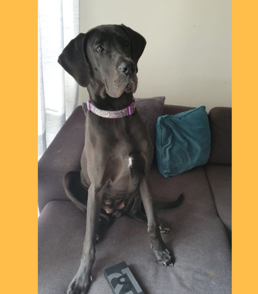 Won a Samsung Galaxy S21 Ultra