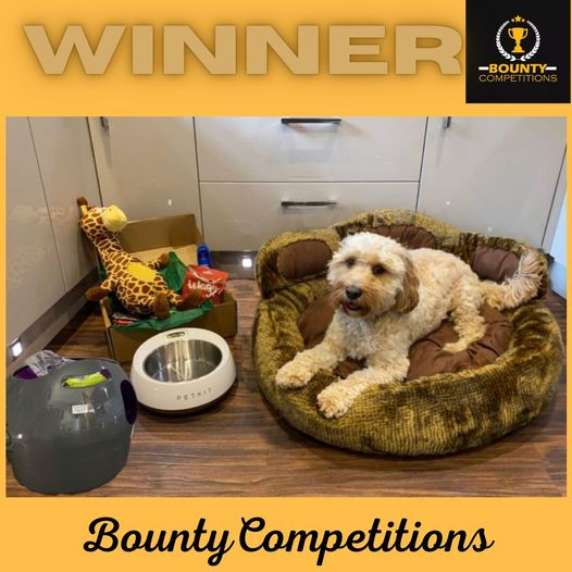 Won the Here Doggy Doggy Bundle!