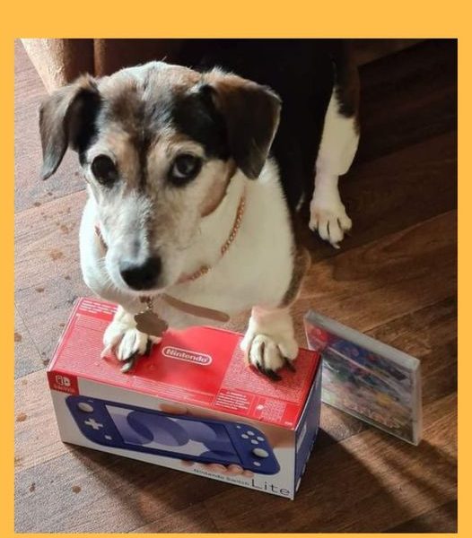 Won the Nintendo Switch Lite and Pokemon Snap Bundle!!