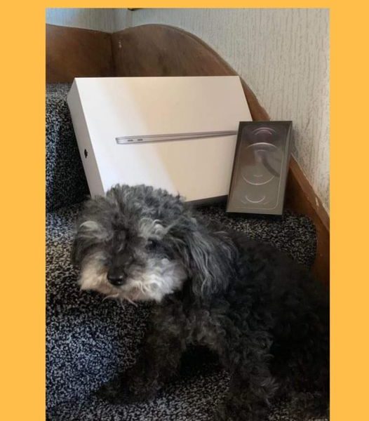 Won the MacBook Air 13.3″ and the iPhone 12 pro Max!!