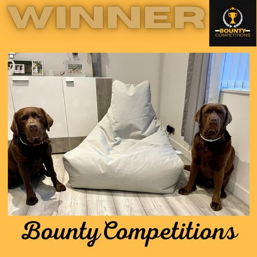 Won the Extreme Lounging Mighty Pastel Bean Bag!!