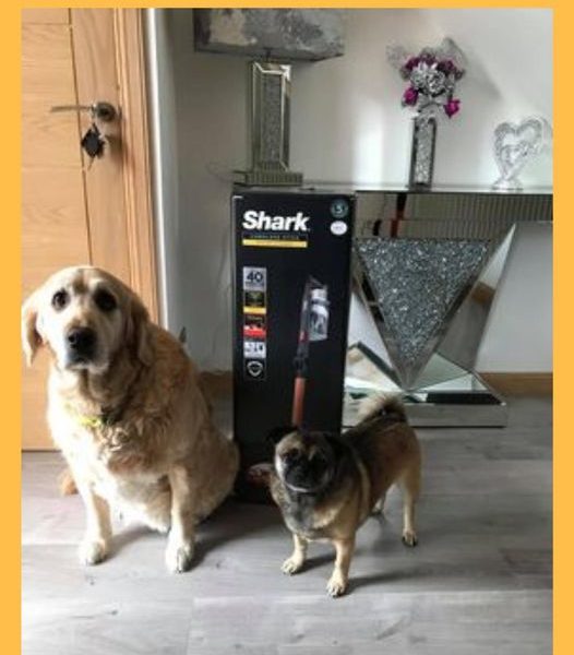 Won a Shark Hoover!!!