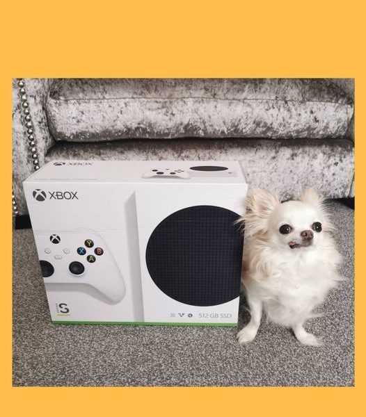 Won the Xbox Series S + 3 Month Game Pass Ultimate Subscription!