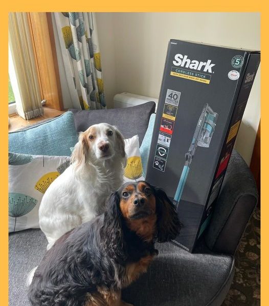 Won a Shark Hoover!!