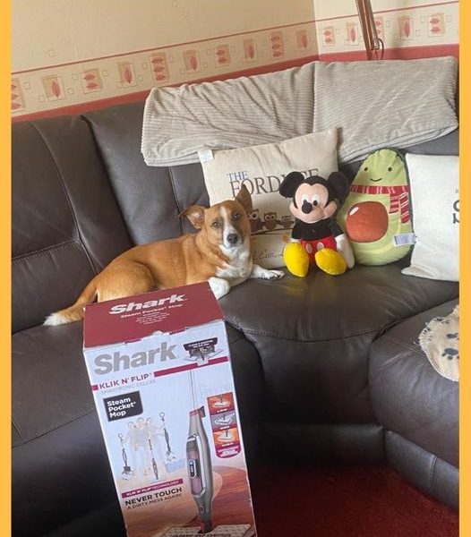 Won the Shark Klik n Flip Automatic Steam Mop Cleaner!!