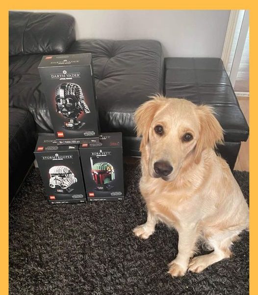 Won the Lego Star Wars Helmet Collection #2!!