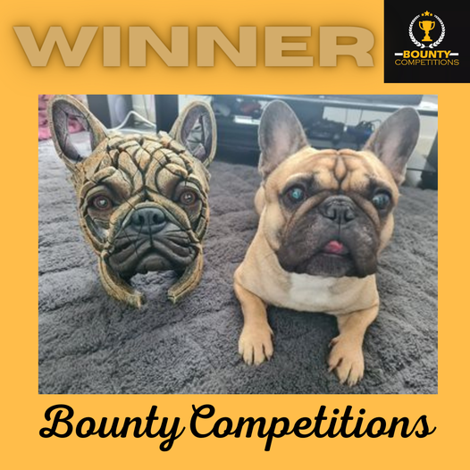 Won the Edge Sculpture French Bulldog!!