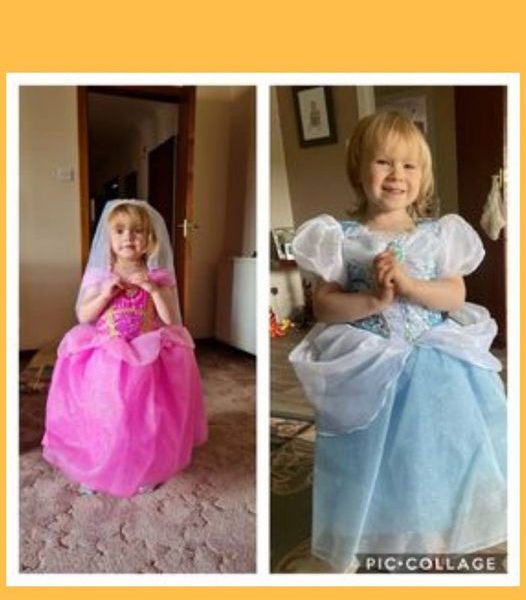 Won the Disney Dress Up Bundle!!