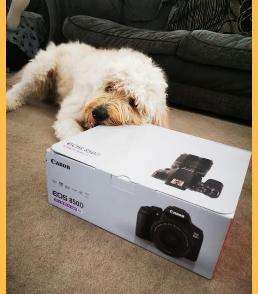 Won the Canon EOS 850D Digital SLR Camera Bundle!!