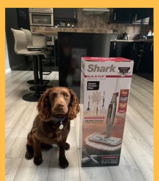 Won the Shark Klik n Flip Automatic Steam Mop Cleaner!