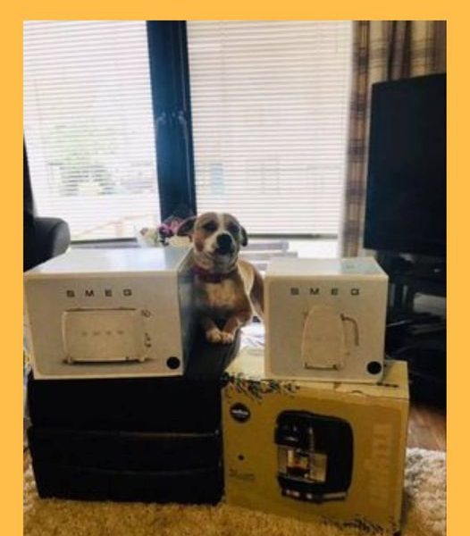 Won the Smeg Kitchen Set #3!!