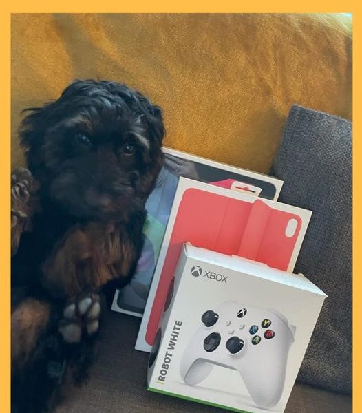 Won the Apple iPad Gaming Bundle!!