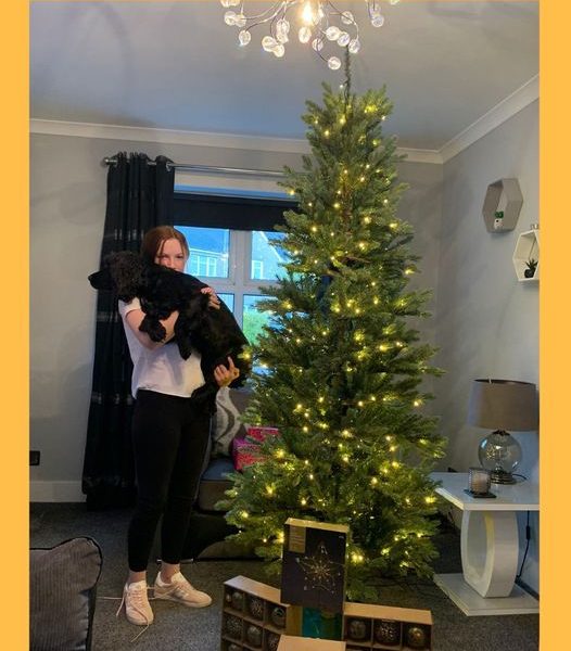 Won the Oh Christmas Tree, Oh Christmas Tree Bundle!!