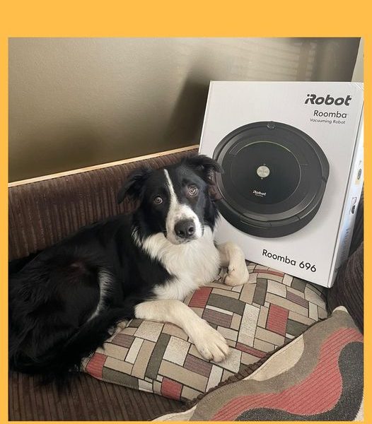 Won the iRobot Roomba Robotic Vacuum Cleaner!!