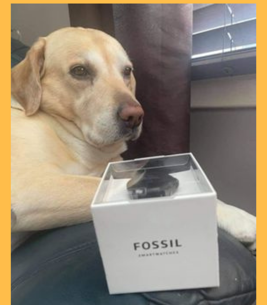 Won the Fossil Gen 5E Smartwatch!!