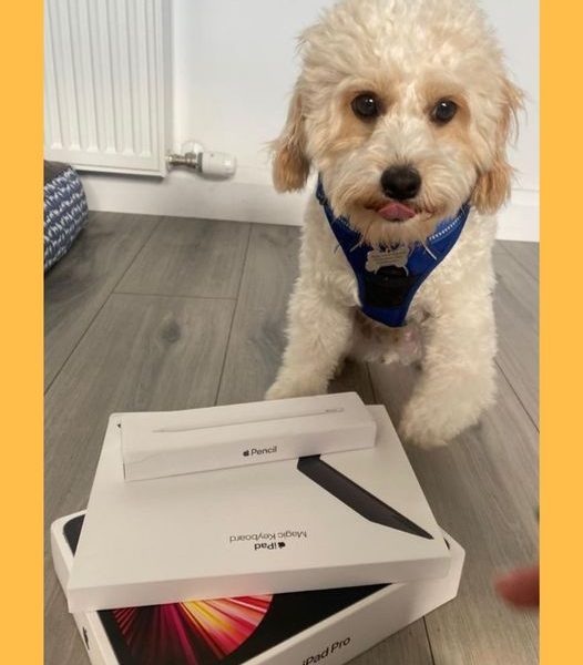 Won the Apple 11″ iPad Pro Bundle #4!!