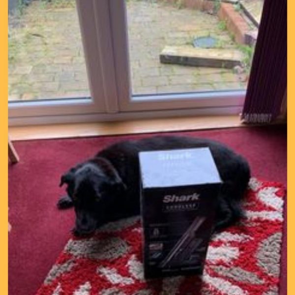 Won the Shark Handheld Vacuum Cleaner!!