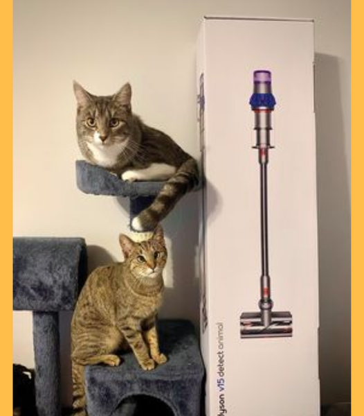 Won the DYSON V15 Detect Animal Cordless Vacuum Cleaner!!