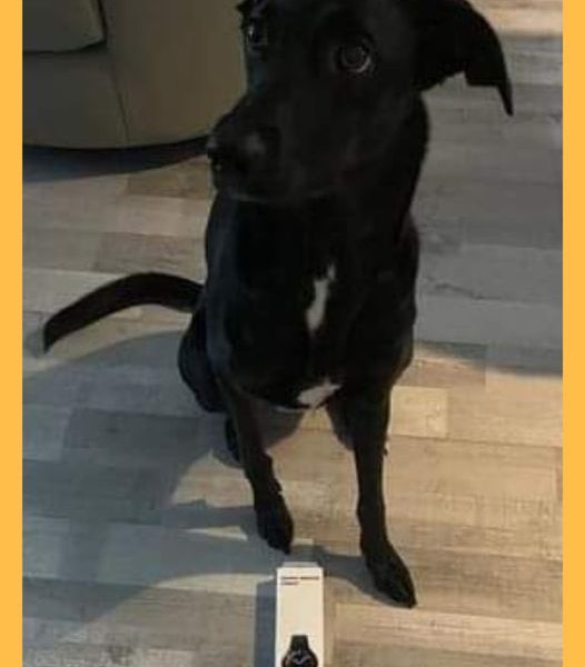 Won the Samsung Galaxy Watch 4 classic, Bluetooth, 42mm!!