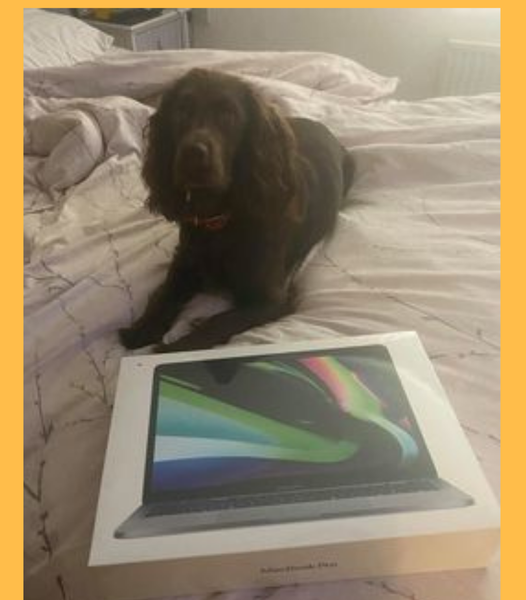 Won the Apple Vs. Samsung Bundle!!