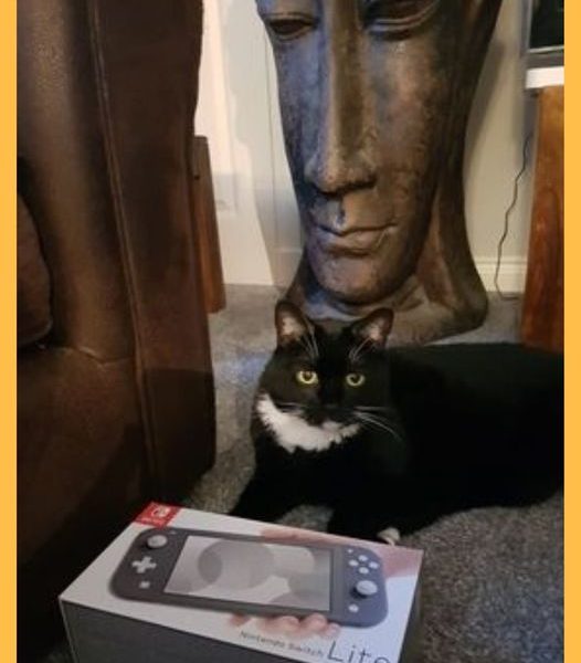 Won the Nintendo Switch Lite (Grey) and Super Mario 3D World + Bowser’s Fury!!