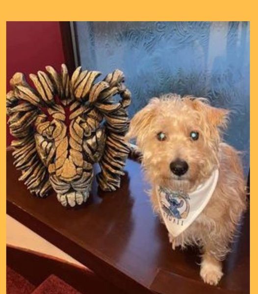 Won the Edge Sculpture Lion Bust Savannah by Matt Buckley!!