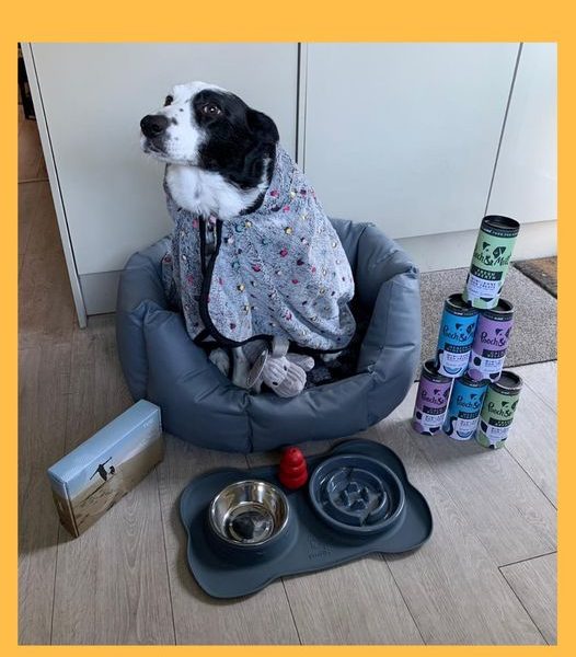 Won the Doggy Bundle!!