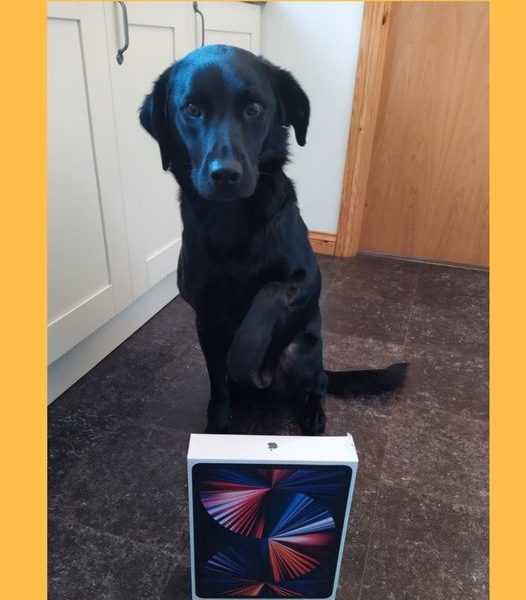 Won the Apple 12.9″ iPad Pro (2021)!!