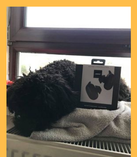 Won the Bose QuietComfort Wireless Bluetooth Noise-Cancelling Earbuds!!