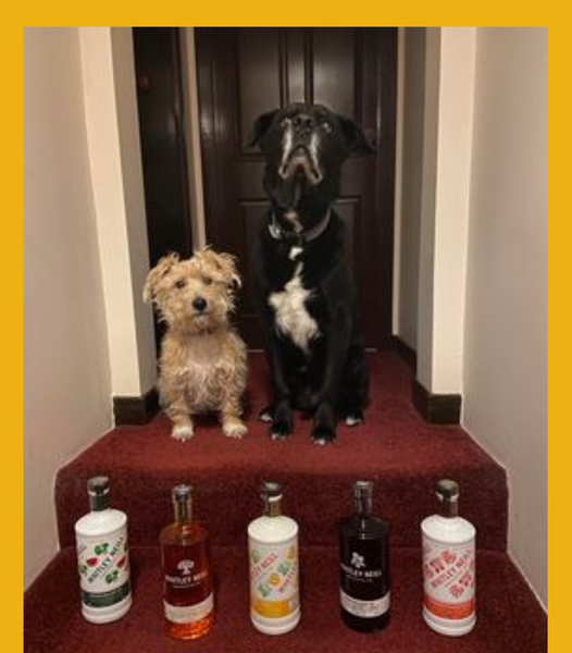 Won the Whitley Neill Gin Bundle #6!!