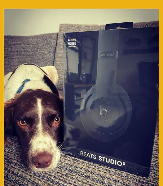 Won the Beats Studio³ Wireless Bluetooth Over-Ear Headphones!!