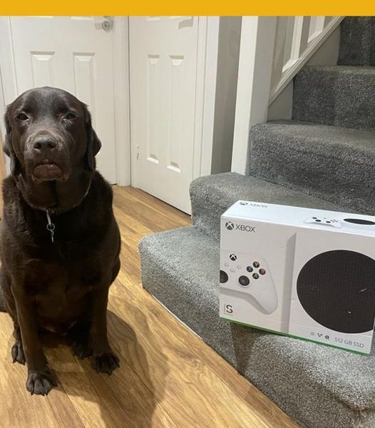 Won the Xbox Series S + 3 Month Game Pass Ultimate Subscription #11!!