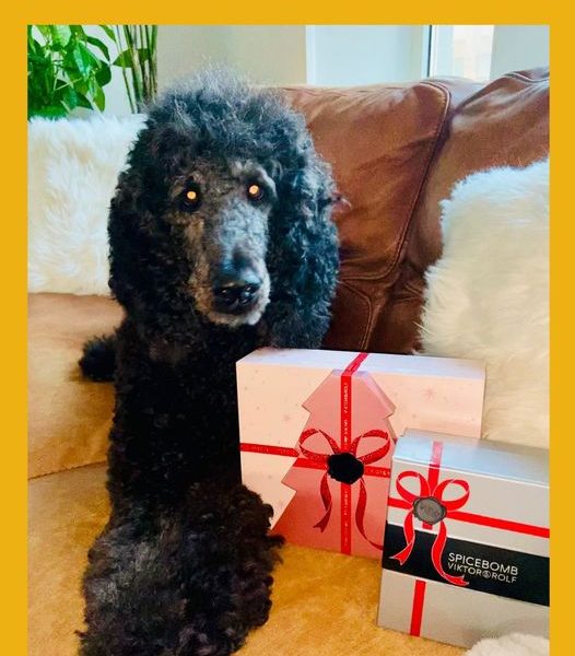 Won the His and Hers Viktor & Rolf Fragrance Gift Sets!!