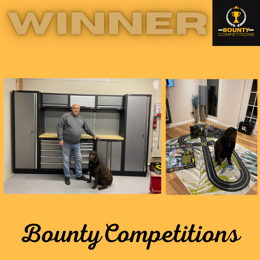 Won the Sealey Modular Storage System AND the Batman Bundle!!