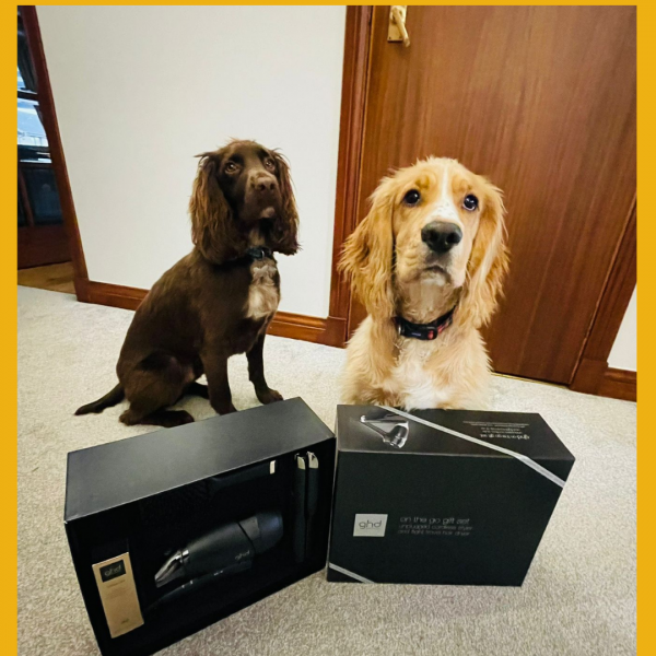 Won the ghd On The Go Gift Set