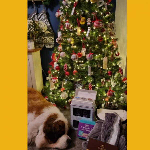 Won the Cosy Night In Bundle #6!!