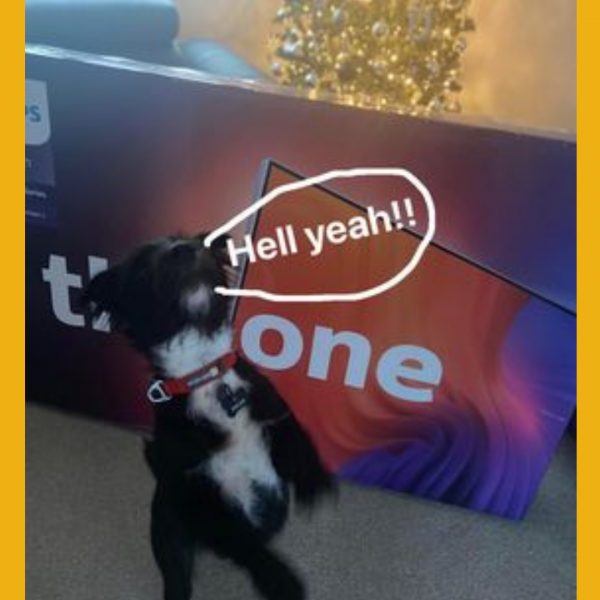 Won the Philips 58″ Smart Ambilight 4K Ultra HD HDR LED TV!!