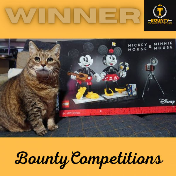 Won the Lego Disney Mickey and Minnie Mouse Figures Playset!!