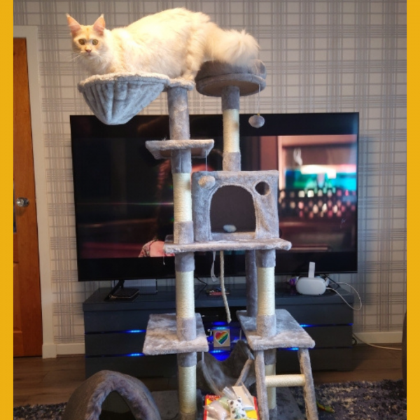 Won the What’s New Pussycat? Bundle!!