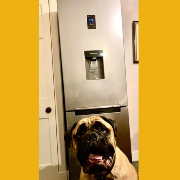 Won the Samsung Fridge Freezer!!